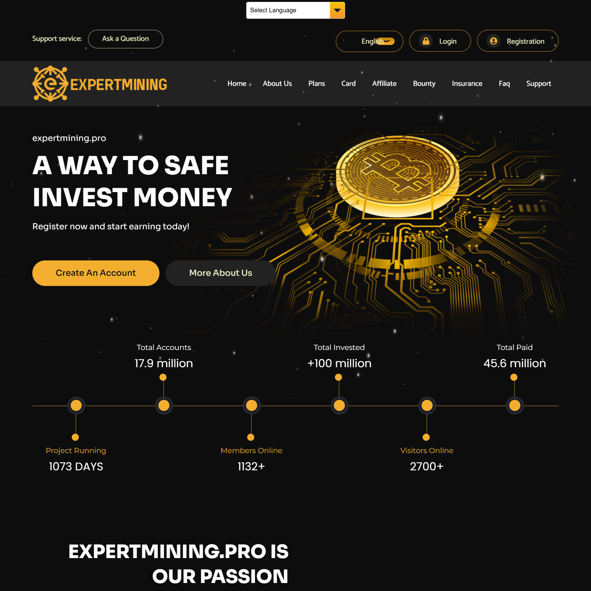 Website